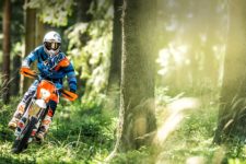 Freeride 250 F 20182