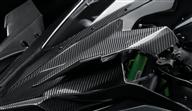 Ninja H2R 74