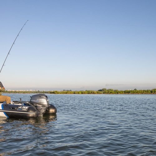 2025-Yamaha-YAM310TAF-EU-Arctic_Grey-Action-010-03