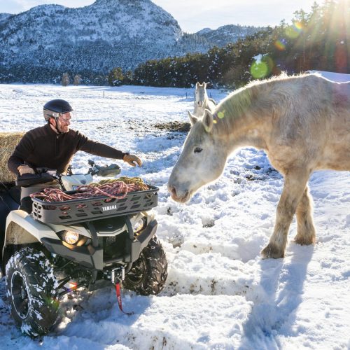 2026-Yamaha-YFM450FWBD-S-EU-Desert_Tan_Midnight_Blue-Action-001-03