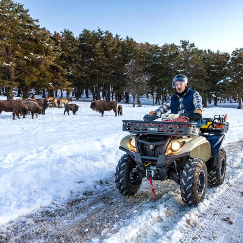 2026-Yamaha-YFM700FWBD-S-EU-Desert_Tan_Midnight_Blue-Action-002-03